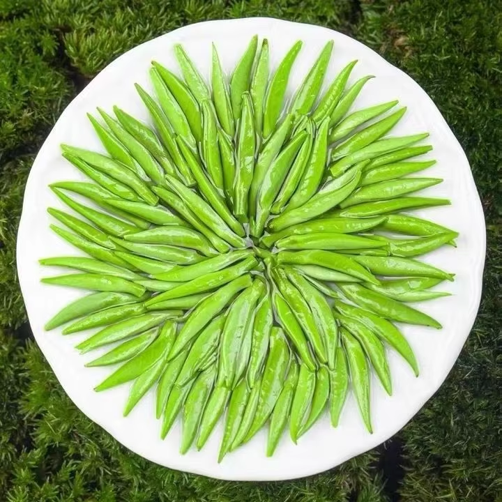 微信图片_20260605084611_683_6.png