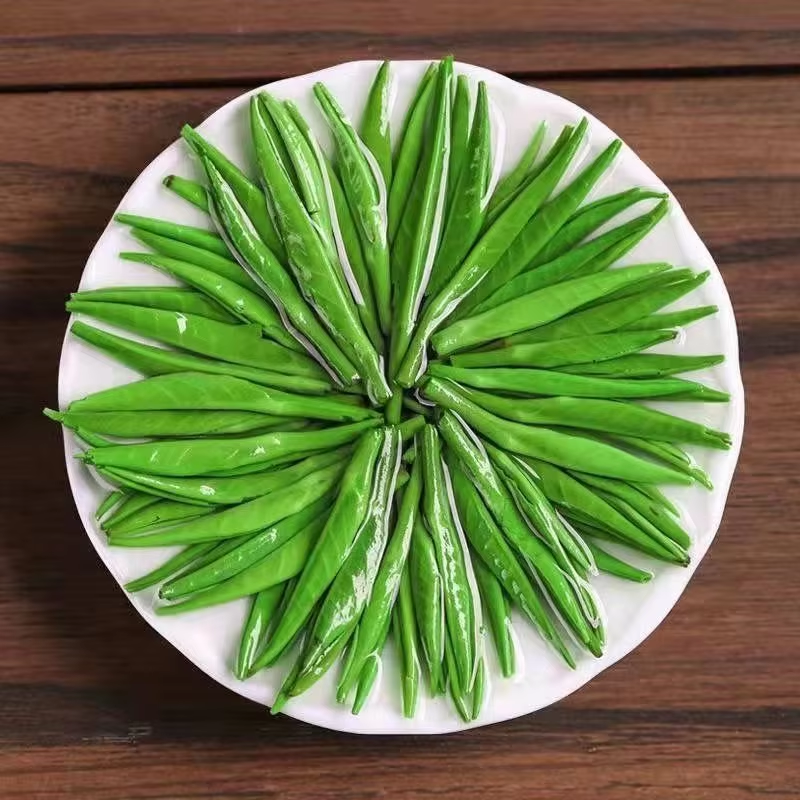 微信图片_20260605084611_684_6.png